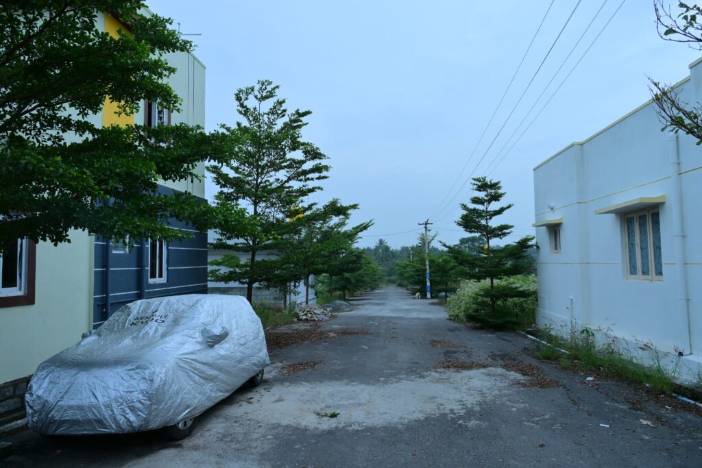 SBS_7872
