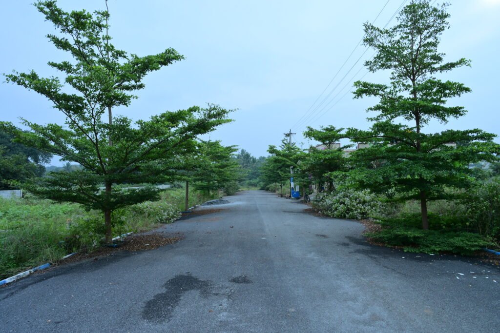 SBS_7875