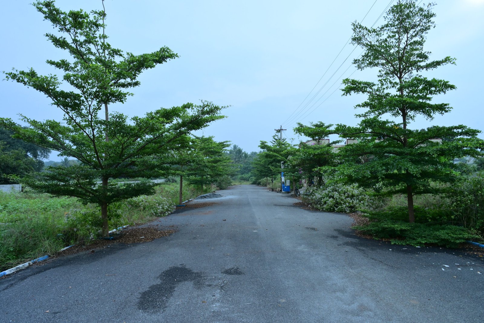 SBS_7875