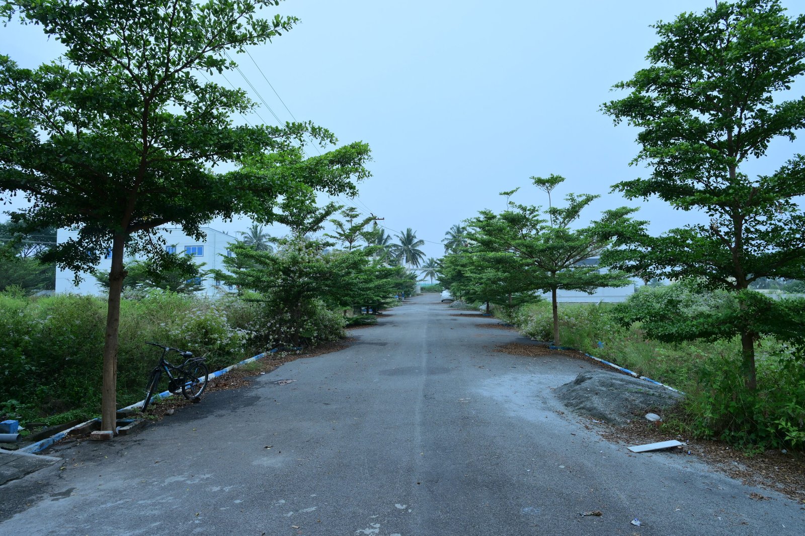 SBS_7876