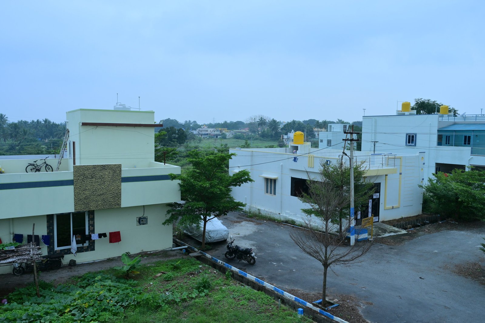 SBS_7883